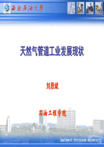 天然气工业发展概况