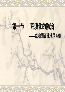高三一轮复习荒漠化的防治