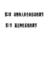 高中生物神经系统调节