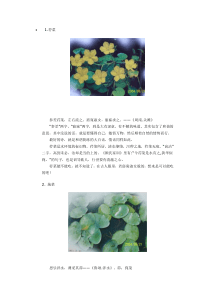 《诗经》中的植物