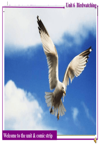 牛津译林版8A Unit6 Birdwatching Comic Strip & Welcome课件