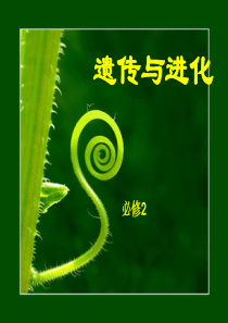 孟德尔的豌豆杂交实验(一)分离定律
