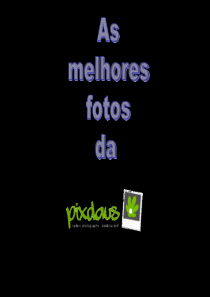 世界摄影获奖作品2