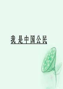 我是中国公民