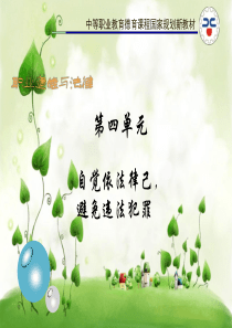 《职业道德与法律》第十课课件