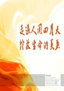 林徽因