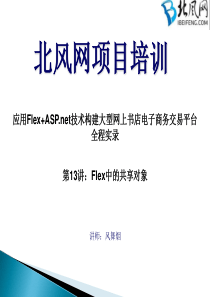 第13讲：Flex中的共享对象