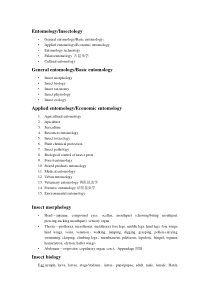 昆虫学常用专业英语词汇