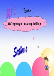 仁爱英语-八年级下册-八下Unit-6-Topic-1SC