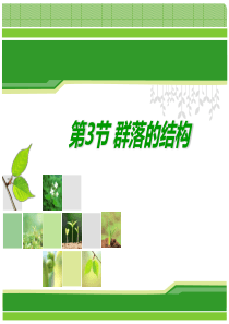 生物必修三第四章第三节群落的结构