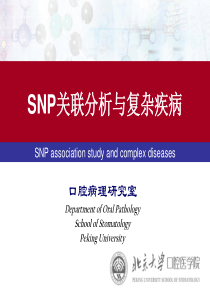 snp关联分析与复杂疾病