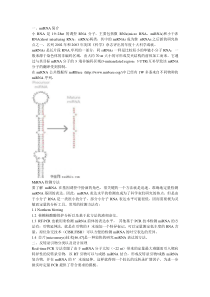 miRNA用荧光定量PCR检测的完整流程