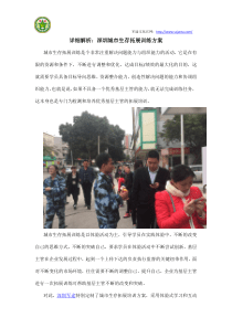 详细解析：深圳城市生存拓展训练方案