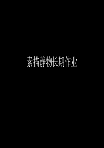 素描静物ppt