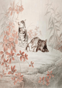 郑振铎《猫》公开课