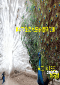 第四节生态系统的信息传递