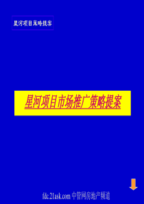 星河房地产项目市场推广策略提案(ppt 62)
