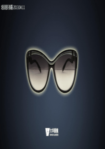 太阳镜培训(2013)