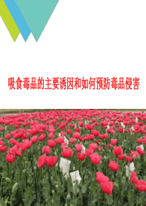 吸食毒品的主要诱因和如何预防毒品侵害