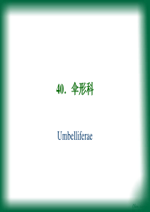 11 被子植物门伞形科