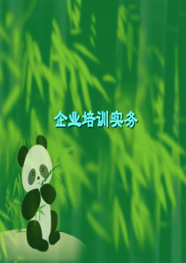 企业培训实务资料