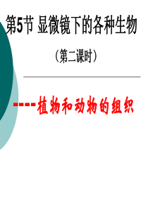 2.5-2显微镜下的生物(二)植物的组织和动物的组织