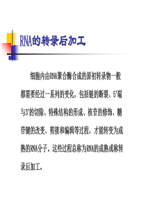 第六讲  RNA的转录与转录后加工(二)