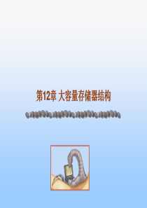 苏州大学操作系统概念第12章