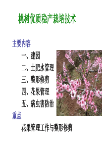 专题四 桃花果管理+病虫害防治