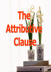 定语从句疑难点