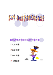 第三节影响消费者购买行为的因素.