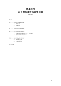 电子商务调研与运营规划