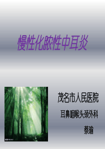 慢性中耳炎课件