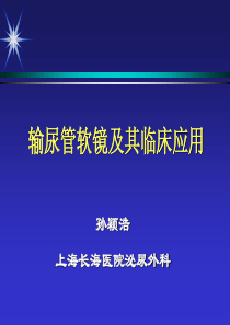 输尿管软镜及其应用