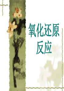 高中化学氧化还原反应――概念练习