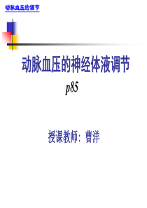 1.动脉血压的调节