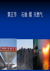 廖石油煤