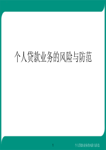 个人贷款业务的风险与防范