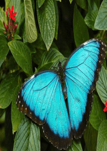 2015最新上课版4.2权力的行使：需要监督