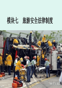 旅游安全法律制度-PowerPointPresenta