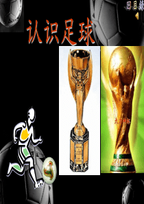 幼儿足球训练基础知识足球【1】PPT