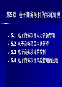 电子商务项目的实施阶段