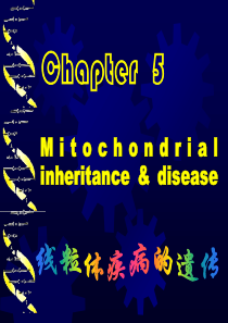 5章线粒体