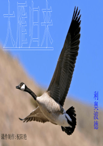 锦江区2017届中考英语“二诊”试卷