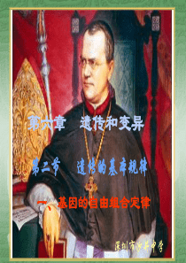 基因的自由组合定律ppt