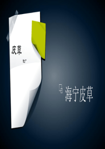 海宁皮草 2