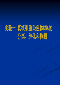 DNA提取纯化检测