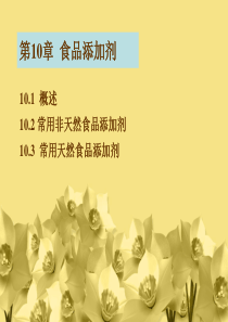 第10章 食品添加剂