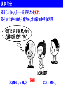 课题2-土壤中分解尿素的细菌的分离与计数