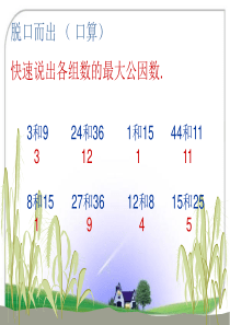 用最大公因数解决实际问题